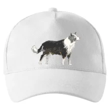 Border kolie kreslená