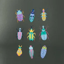 Barevní brouci (studio-arte.cz)