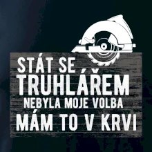 Stát se truhlářem nebyla moje volba