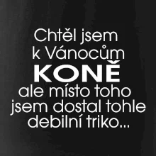 Chtěl jsem dostat k Vánocům koně