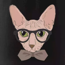 Hipster sphynx
