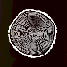 Letokruhy 45 bez věku