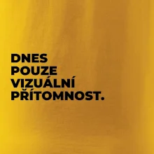 DNES POUZE VIZUÁLNÍ PŘÍTOMNOST.