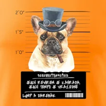 Lump a darebák francouzský buldoček