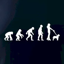 Lagotto romagnolo Evoluce