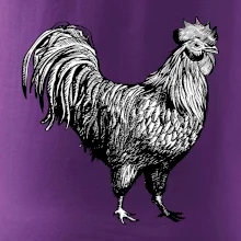 Kohout kreslený černobílý