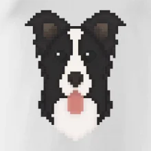 Border kolie Pixel
