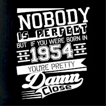 Nobody is perfect - 1954
