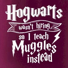 Harry - Hogwarts wasn’t hiring, so I teach Muggles instead