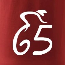 Cyklista slaví pětašedesátku (65)
