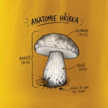 Anatomie hříbka