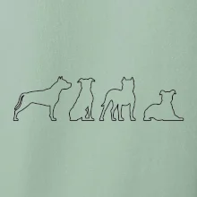 Americký stafordširský teriér v různých pozicích