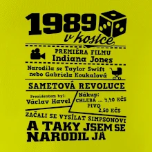 1989 v kostce