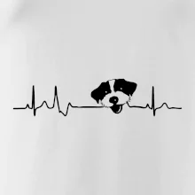 Jack Russell Terriér hrubosrstý Ekg