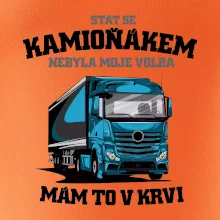 Stát se kamioňákem nebyla moje volba