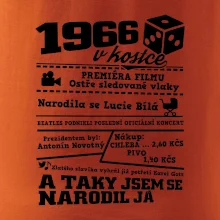 1966 v kostce