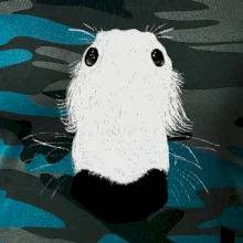 Barzoj čumák (Moňas)