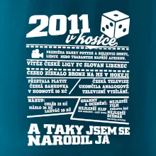 2011 v kostce
