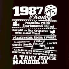 1987 v kostce