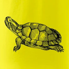 Tužkou kreslená želva