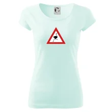 Dopravní značka - Pozor pštros