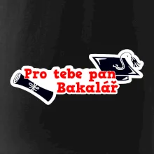 Pro tebe pan Bakalář
