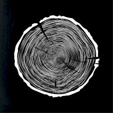 Letokruhy 90 bez věku