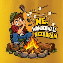 Ne Wonderwall nezahrám