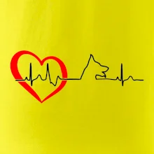 Německý ovčák ekg