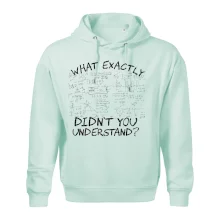 What exactly didnt you understand - physics What exactly didnt you understand - physics