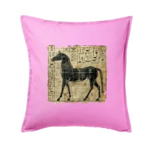 Egyptské hieroglyfy kůň