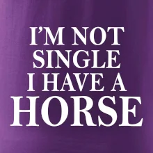 I have a horse - Nepotřebuji přítele