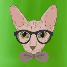 Hipster sphynx