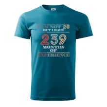 20 years 239 months of experience 20 years 239 months of experience