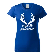 Harry - Expecto patronum