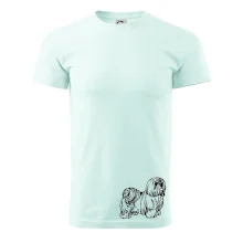 Shih-tzu - chlupatý