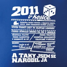 2011 v kostce