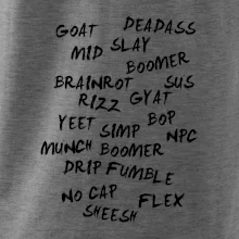 Generace Z - Gen Z slovník