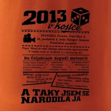 2013 v kostce