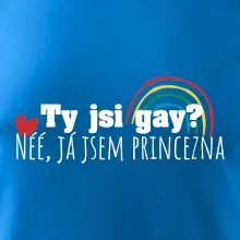 Gay princezna