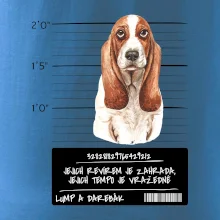 Baset - lump a darebák