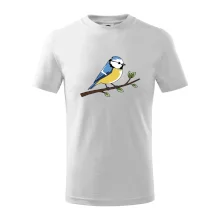 Sýkorka modřinka na větvi