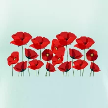 Vlčí mák v řadě