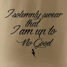 I solemnly swear that I'm up to no good