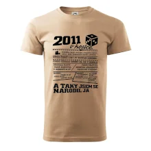 2011 v kostce