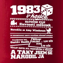1983 v kostce