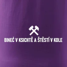 BINEĆ V KSICHTĚ A ŠTĚSTÍ V KOLE﻿