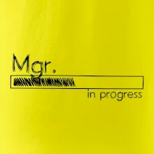 In progress titul Mgr.  magistr / magistra