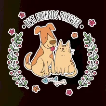 Kočka a pes best friends