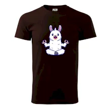 Yoga meditace - lama